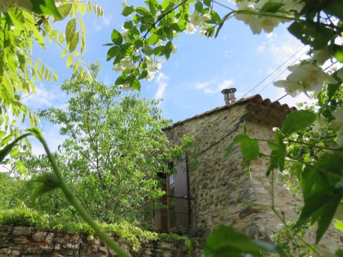 Gite un toit sur la Doa - Location saisonnière - Apt