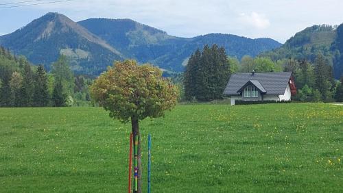 Ferienwohnung Seeberg mit Almfeeling