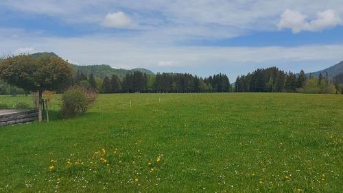 Ferienwohnung Seeberg mit Almfeeling