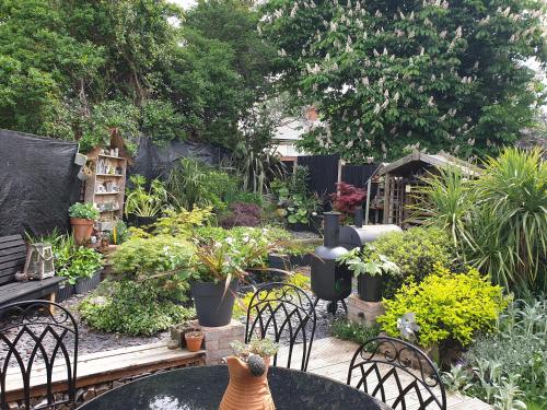 Tropical Garden Oasis Rooms in 네첼스