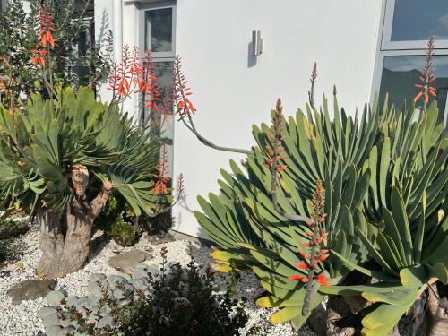 Stunning park side holiday home in Wigram