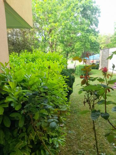 Peace Home