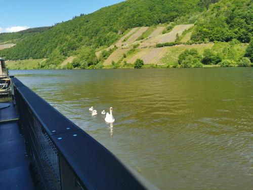 Hausboot Mosel