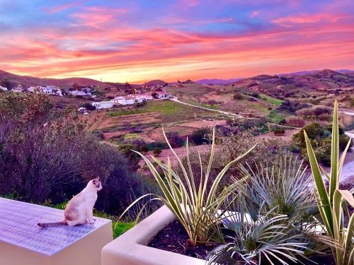 สภาพแวดล้อมโดยรอบ, casa paz tavira in ซานตามาเรีย