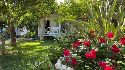 Bellerofon Beach Otel Room Type - Bungalow - Water Front (2 Adults)