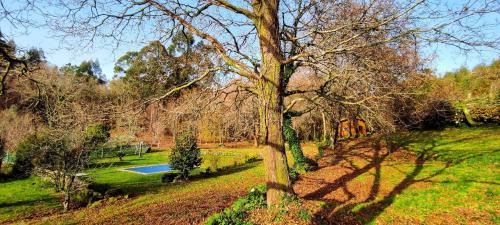 Veiga Mariña gîte à louer Almofrey