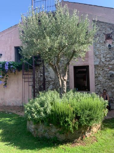 Casa Ischia gîte à louer Capo Vaticano