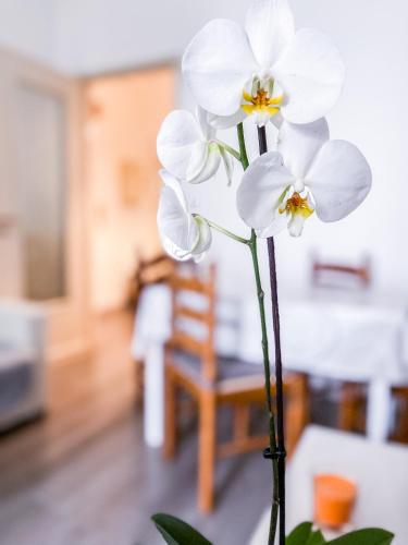 MYHOUSE INN MARCHE - Affitti Brevi Italia, Turyn (zdjęcie 8)