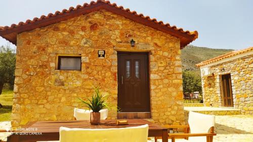 Villa in the Olive Trees