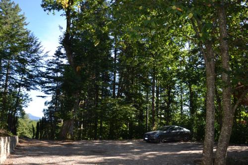 BELLA TUSCANY - Residence