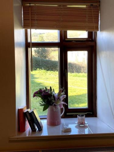 Taman, Y Felin Bed and Breakfast and Smallholding in Trefeglwys