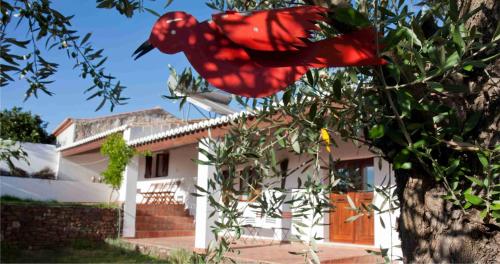 Ecoland Casa de Campo BnB Montalvo