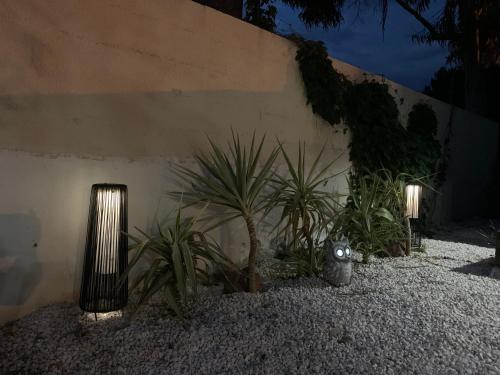 Garden, Les dahlias appartement 4 personnes Jacuzzi Barbecue Jardin arbore Climatise in Agde City Center