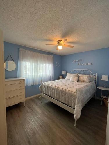 Main Floor Bright & Spacious Apartment - Fairview