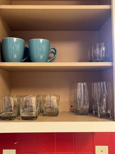 Main Floor Bright & Spacious Apartment