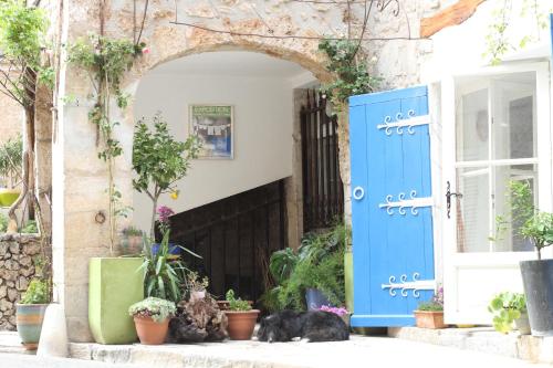 Casa Blue By Les Toits De Cocagne - Cotignac