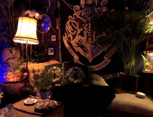 Magical Wizardry Flat in Central London, Londyn
