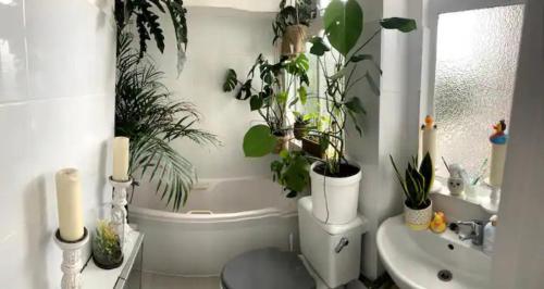Magical Wizardry Flat in Central London, Londýn (fotografie 9)