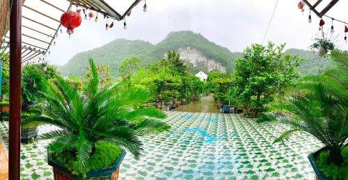 Cat Ba Park Homestay