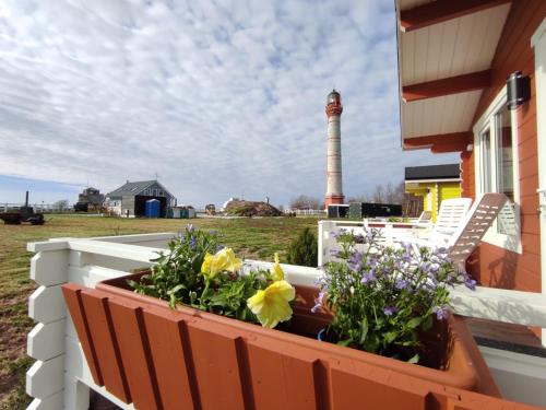 Pakri Parun Pakri Parun