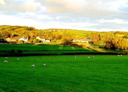 Plough Cottage is a 18th Century barn conversion offering a tranquil rural retreat 9 miles from the Lake District National Park