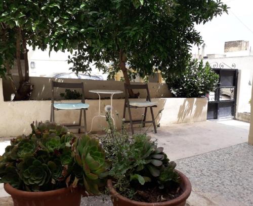  Stylish Studios in Moírai