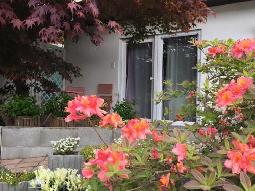 Haus Magnolia 2 in Kandern