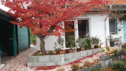 Haus Magnolia 2 in Kandern