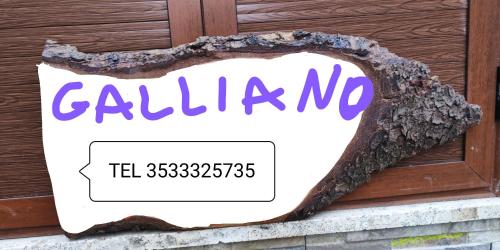  Galliano in Poviglio