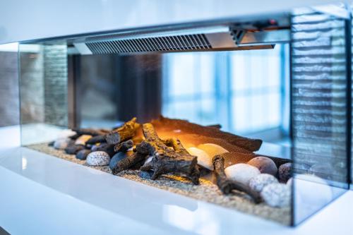 Suite L'échappée in Other