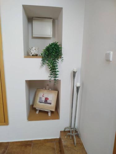 סוויטת החמה, Eilat (foto 3)