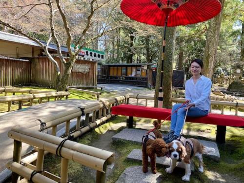 Terrace Kyobate （Vacation house in Nara）