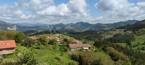 Espacioso apartamento en el corazon del Pais Vasco