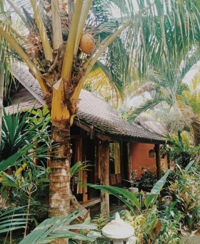 外觀, 巴厘島傑姆布拉納家庭旅館 (Jembrana Bali Homestay) in 國行