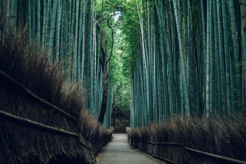 357654080 MUNI KYOTO by Onko Chishin