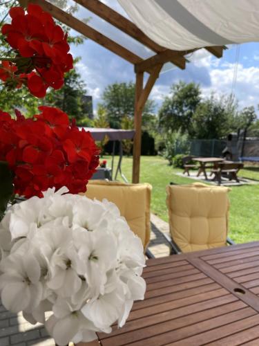 Vila Les Kralovstvi Booking.com提供写真