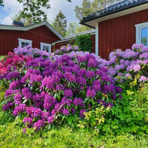 Garden, Torpet Gardsvagen in Hammar