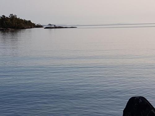 Surrounding environment, Torpet Gardsvagen in Hammar