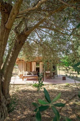Lodge image 7