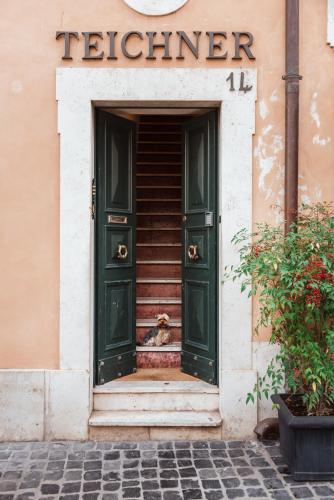 Teichnersuite - image 2