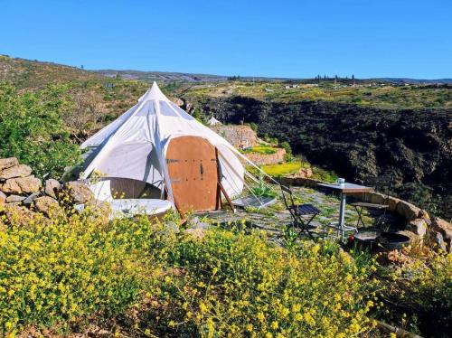 Unique stargazing escape with ocean view