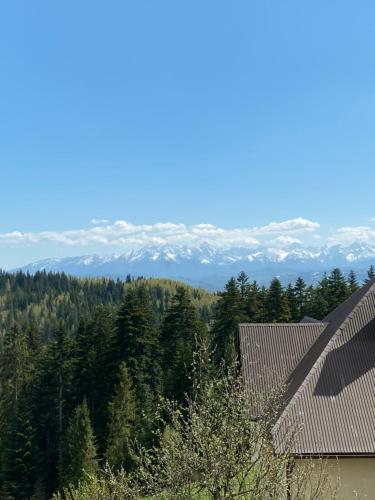 Triple Room with Mountain View