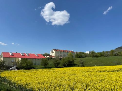 Fair Resort Hotel Jena - image 5