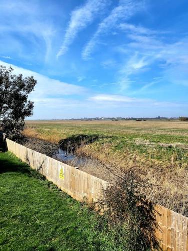 summer bay lodge gîte à louer Brightlingsea