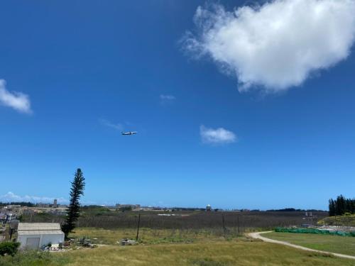 尼莫日記民宿 near Lintou Park