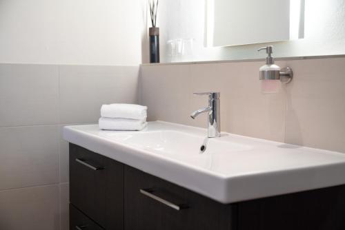One-Bedroom Apartment image 4