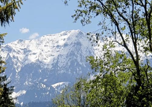 Panoramahaus Hopfner Nähe Zugspitze und Eibsee