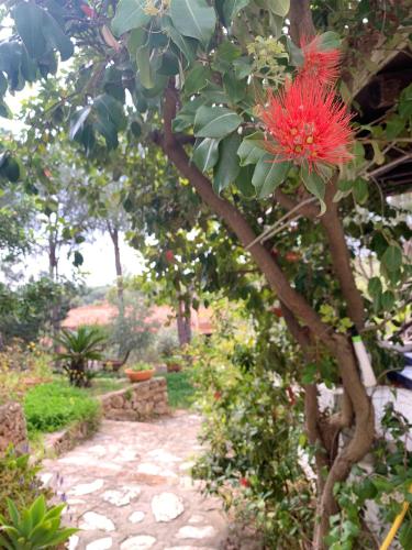 4 bedrooms house at Santa Margherita di Pula 800 m away from the beach with sea view shared pool and enclosed garden gîte à louer Santa Margherita di Pula