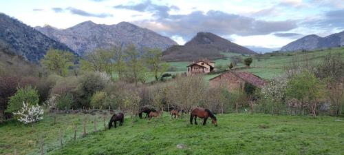 La Posada de la Valuisilla - Bed&Breakfast