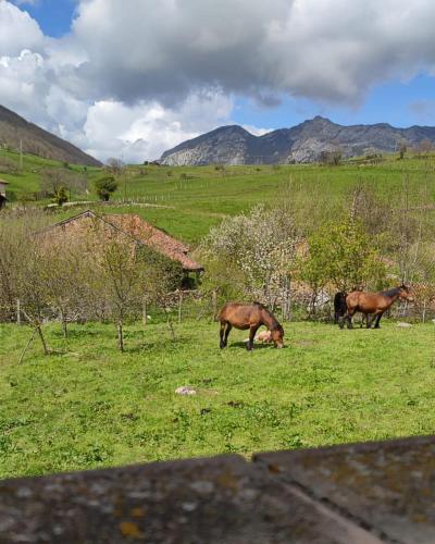 La Posada de la Valuisilla - Bed&Breakfast